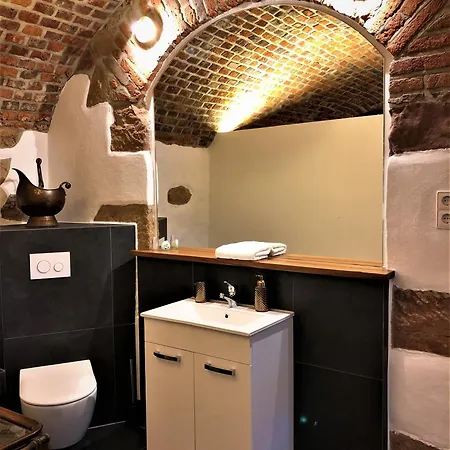 Historical Luxury Homes - Stadtvilla Mit Jacuzzi Und Garten Holiday home Freiburg im Breisgau