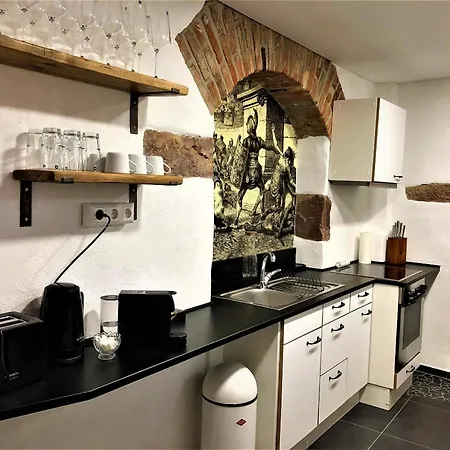 Historical Luxury Homes - Stadtvilla Mit Jacuzzi Und Garten * Freiburg im Breisgau