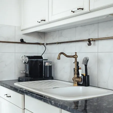 Historical Luxury Homes - Stadtvilla Mit Jacuzzi Und Garten * 프라이부르크 임 브리스가우