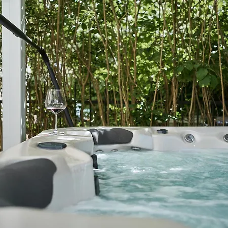 Vakantiehuis Historical Luxury Homes - Stadtvilla Mit Jacuzzi Und Garten Freiburg im Breisgau