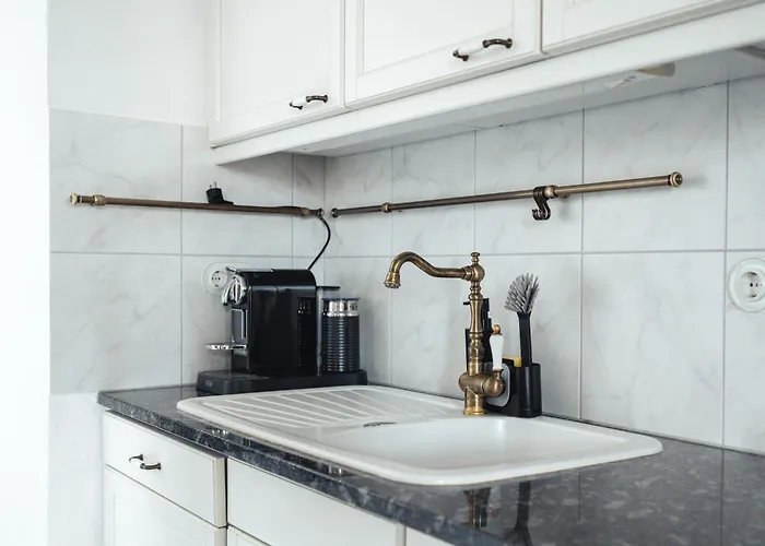 Historical Luxury Homes - Stadtvilla Mit Jacuzzi Und Garten * فرايبورغ